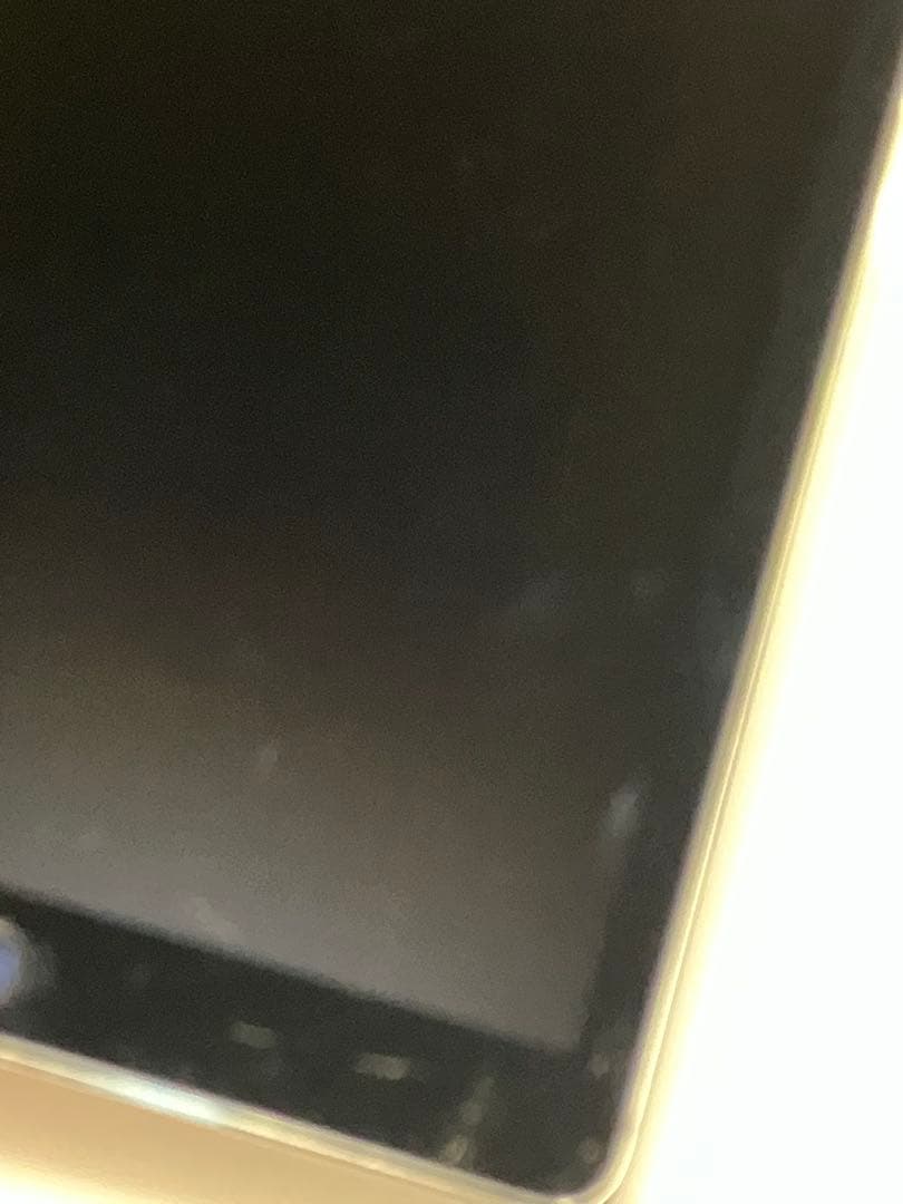 Apple iPad pro 9.7インチ MLMV2J/A 動作ok 中古