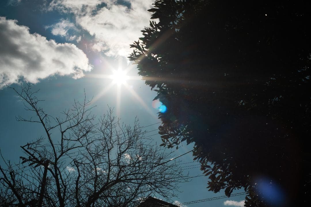 【傑作レンズ】動作◎ Canon New FD 50mm F1.4 019