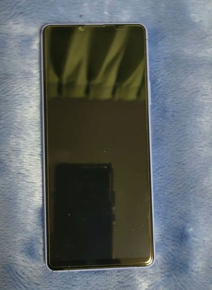 SONY Xperia 10 IV ドコモ SO-52C ラベンダー 箱付 中古