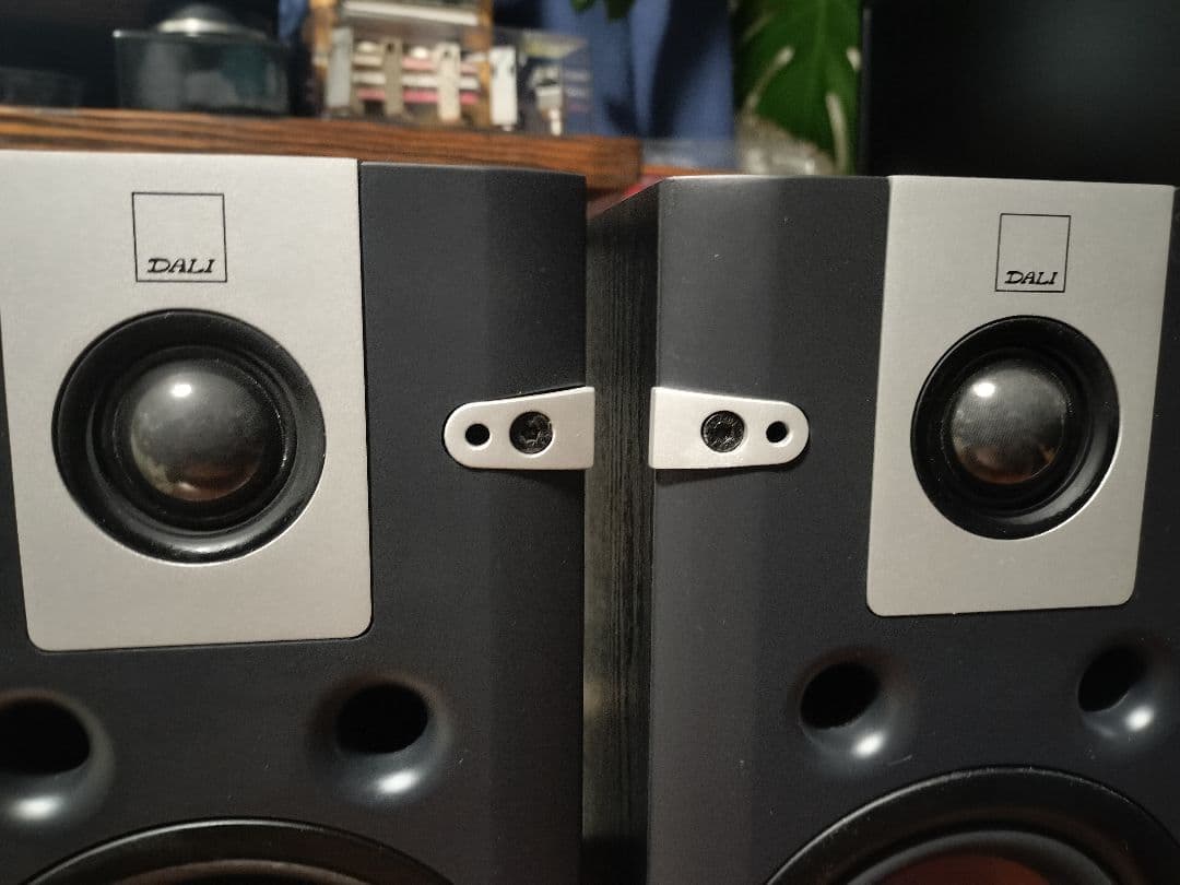 DALI LEKTOR1 動作品 ダリ ブックシェルフスピーカー