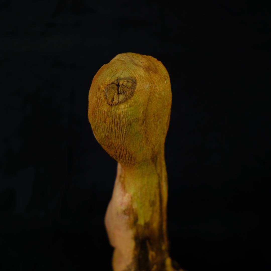 古い木彫りの女像　アート作品　彫刻　一刀彫　オブジェ　裸婦　アンティーク　古道具