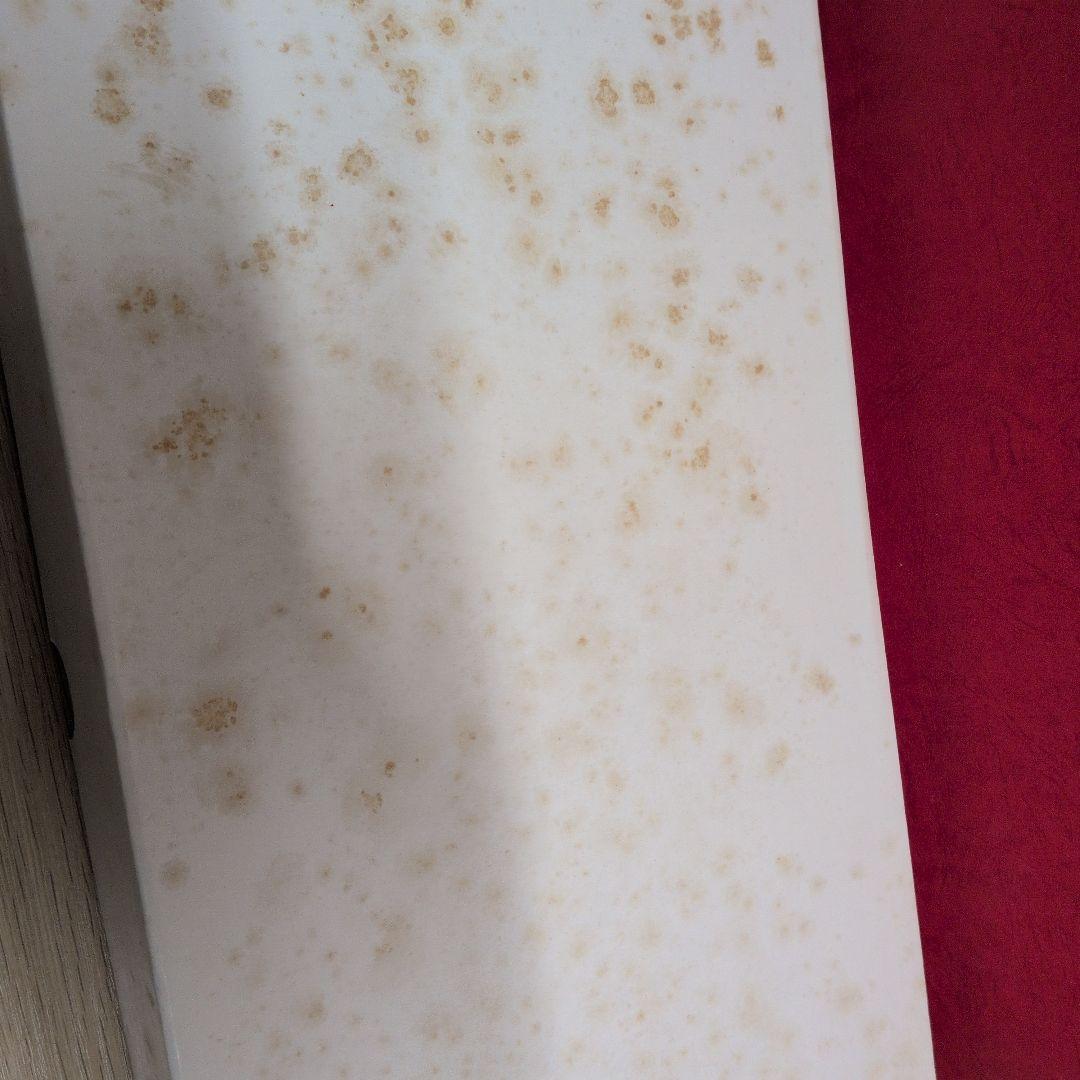 PATURZO GIOVANNI イタリア製 ジョバンニ パトゥルツォ トレー