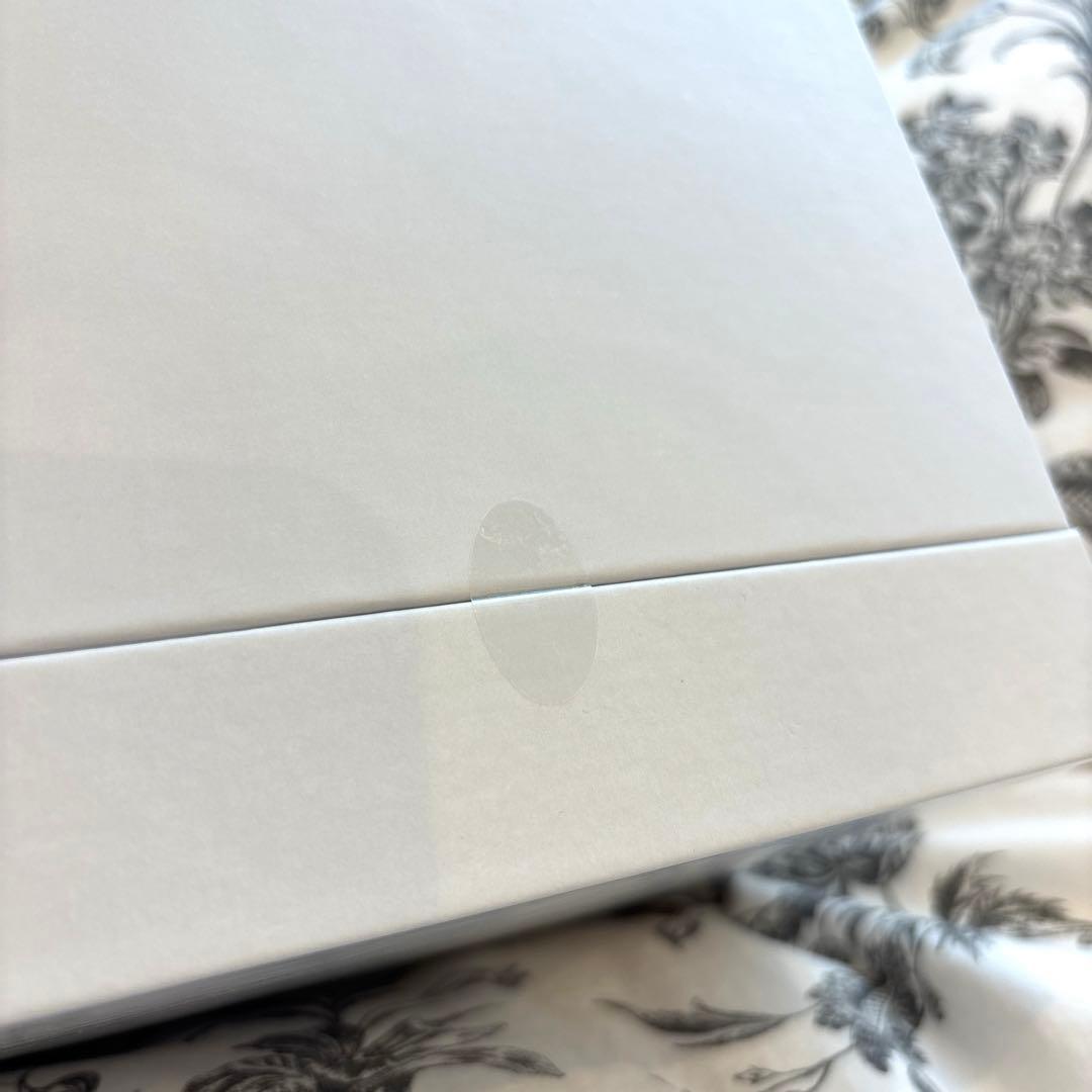 【新品未使用】 SALONIA サロニア ピュアブライトスチーマー グレー