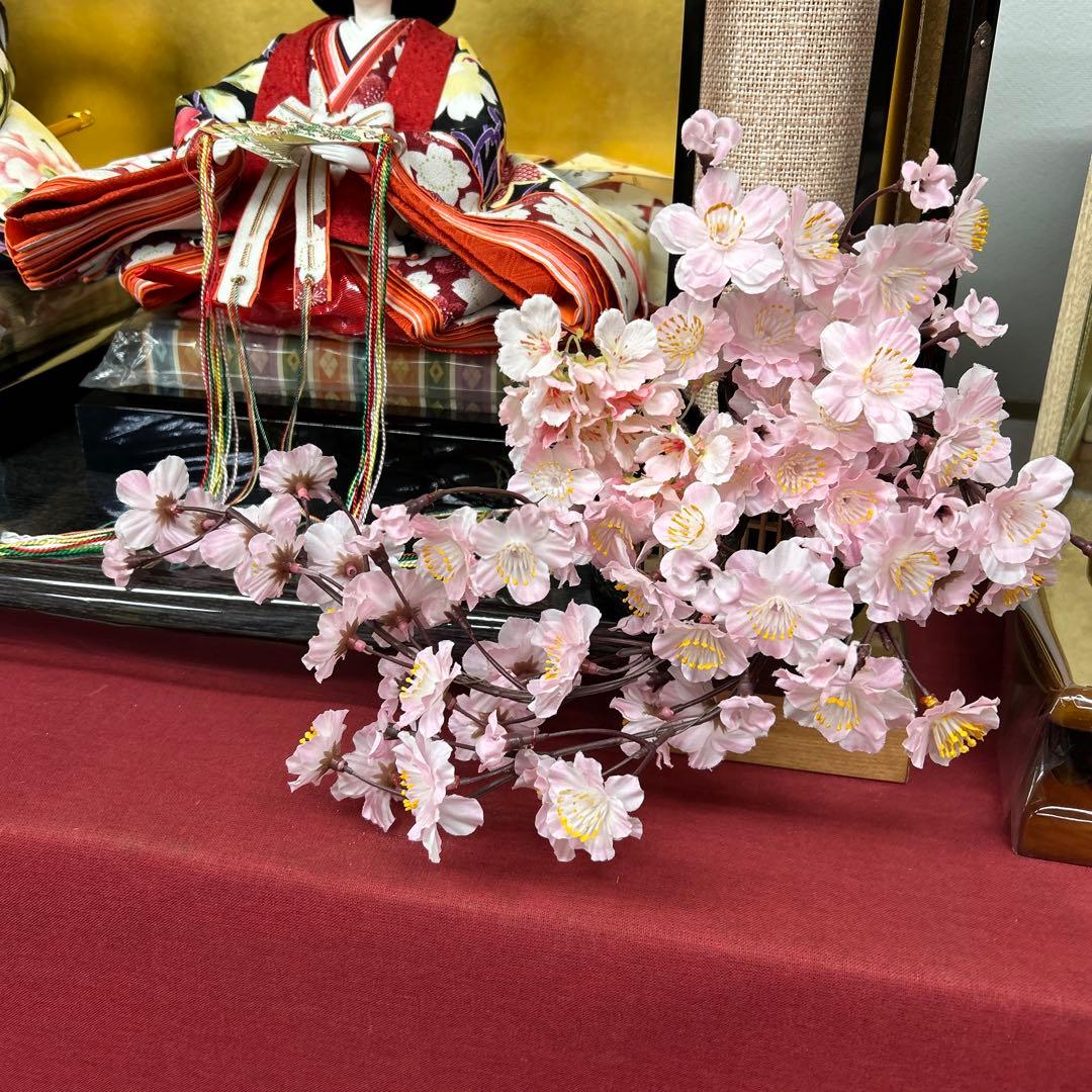 【237】振袖桜10号、桜のみの出品です。p