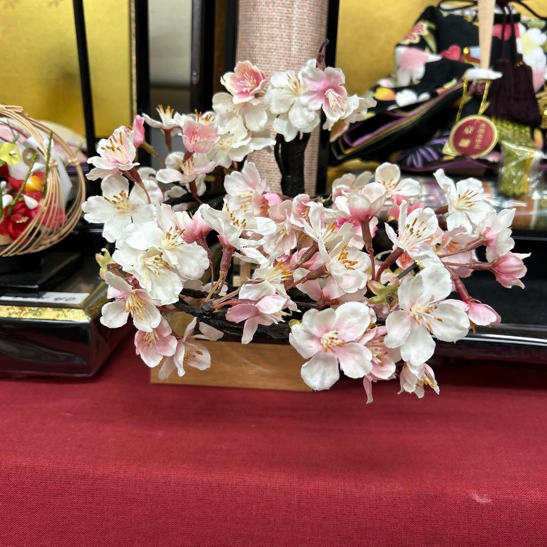 【237】振袖桜10号、桜のみの出品です。p