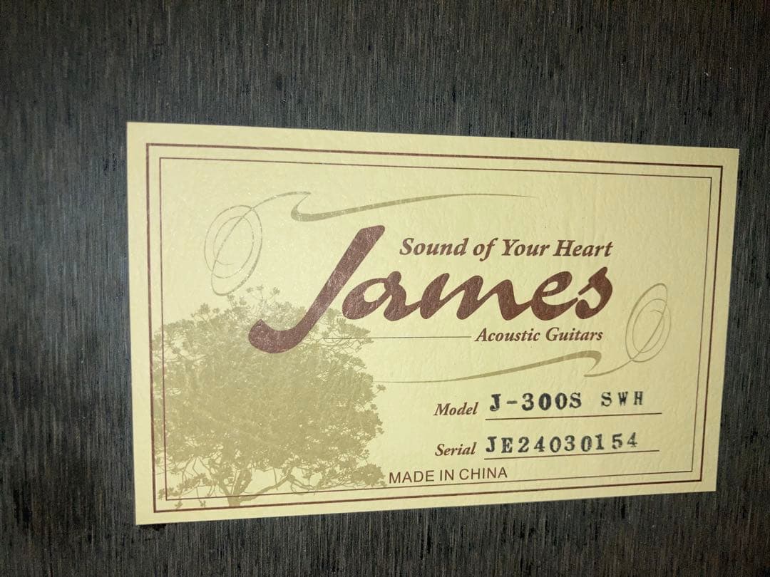 James J-300S SWH ジェームスギター
