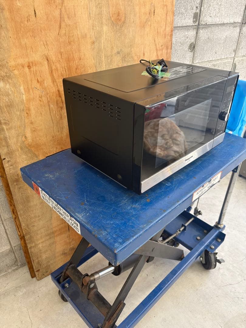 パナソニック Panasonic 電子レンジ NE-FL221-K 2019年製