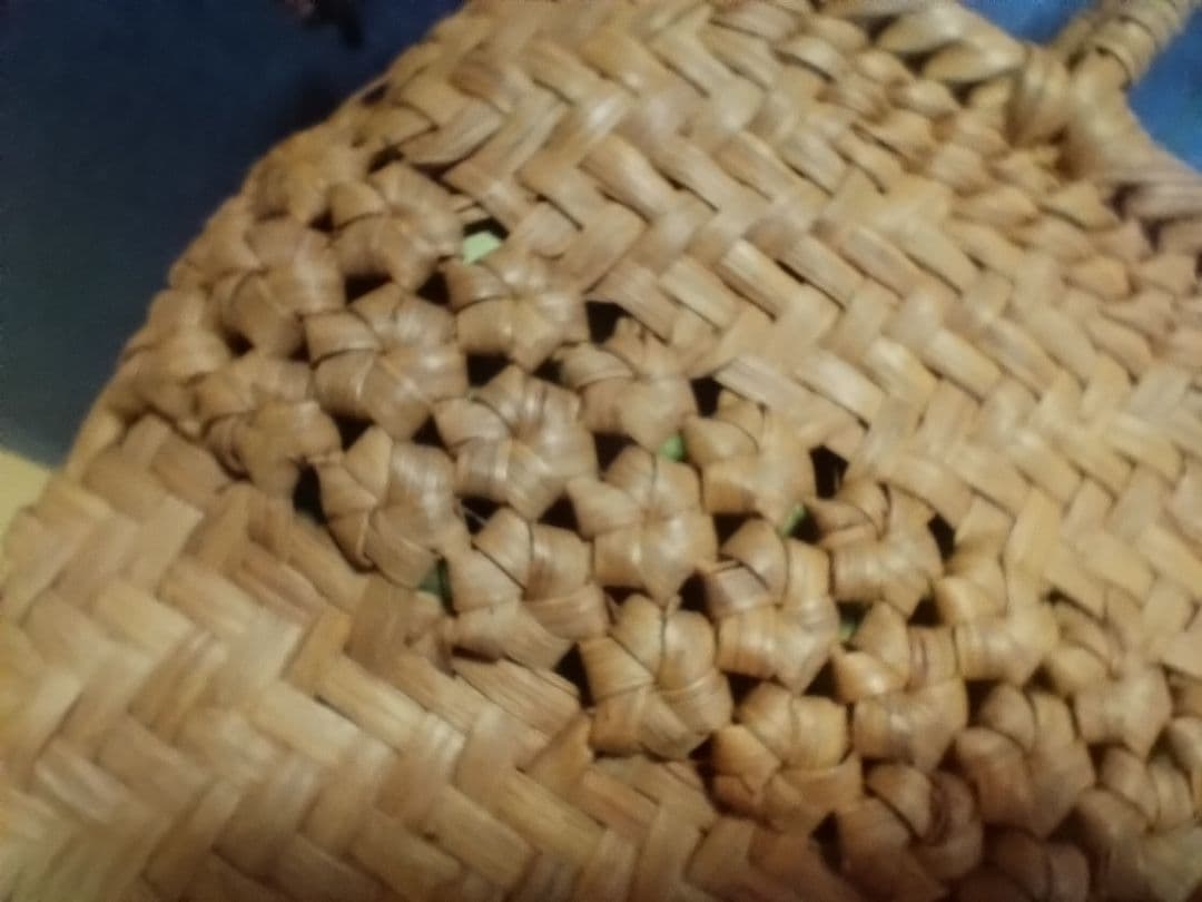 かごバッグ （山葡萄の蔓の編み込み）