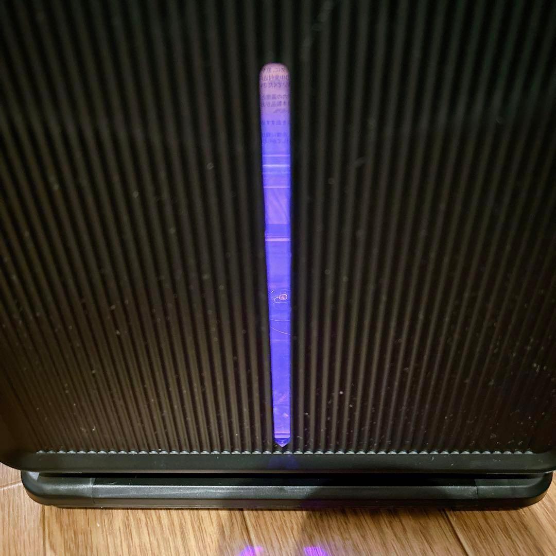 格安価格❣️ 除湿機 ペルチェ式 YP2118(ブラック) 節約