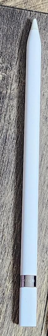 【Pencil付】iPadPro 12.9 第1世代 128GB【送料込】