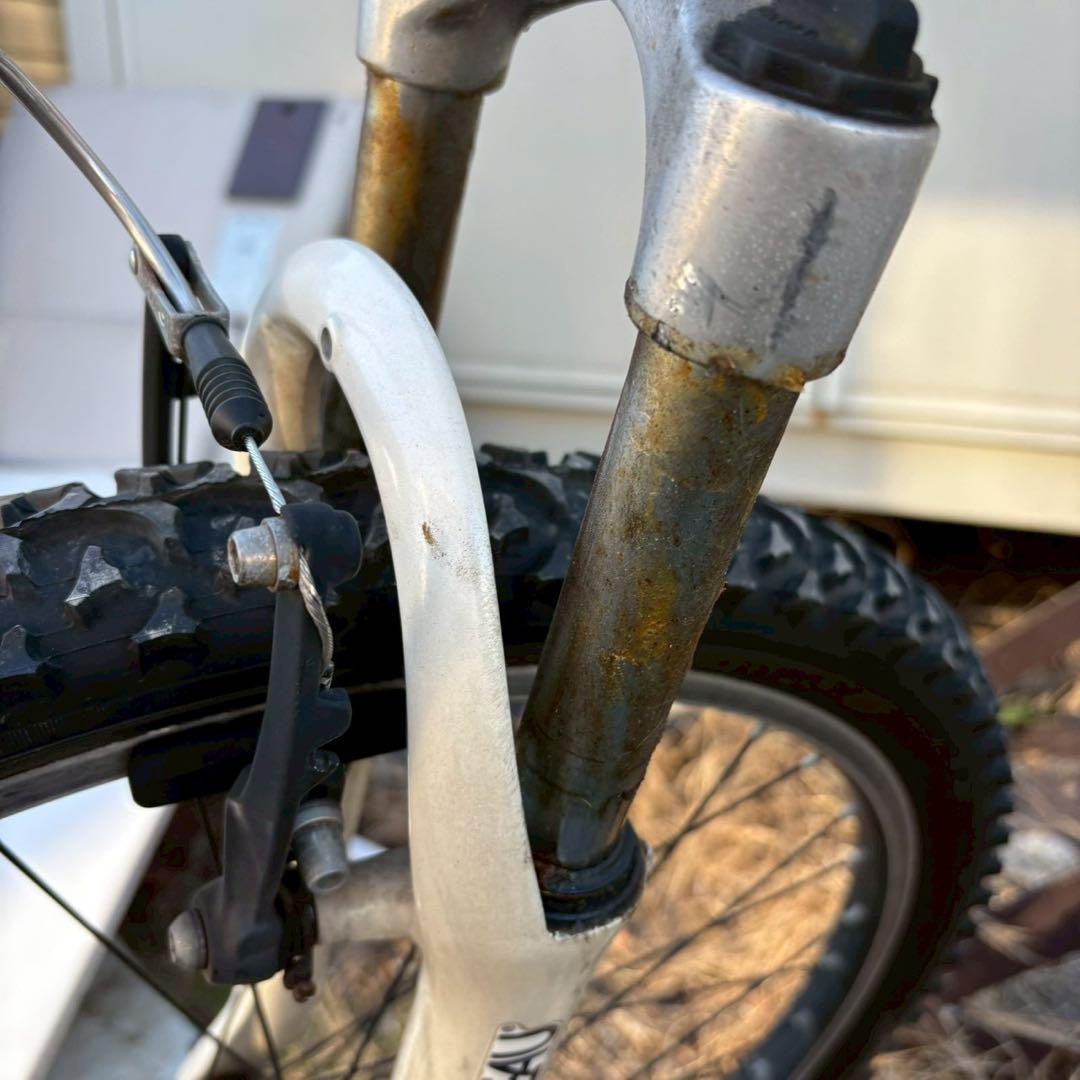 無料配送エリアあり　LOUIS GARNEAU マウンテンバイク　自転車