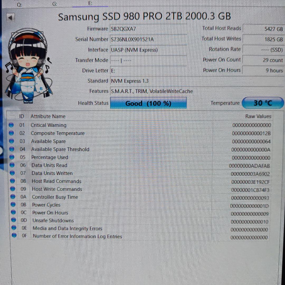内蔵型SSD Samsung 980 PRO 2TB NVMe M.2 SSD