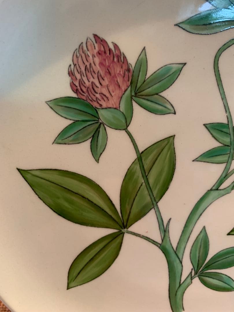 ロールストランド　レアなビンテージの可愛手書きフローラシリーズのお皿2枚セット！