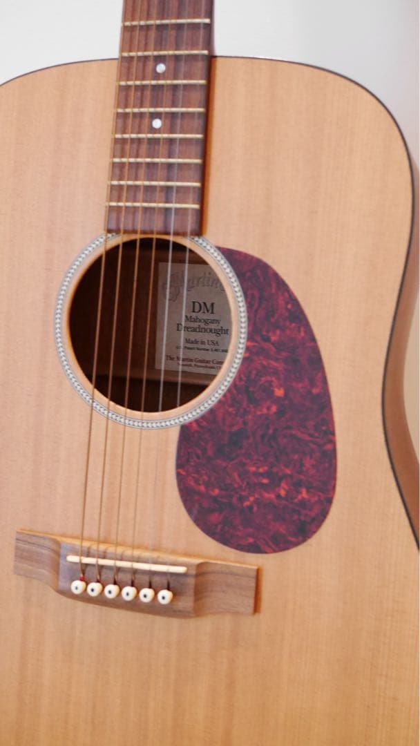 【マギーちゃん専用】★超美品★Martin DM（ハードケース付き）