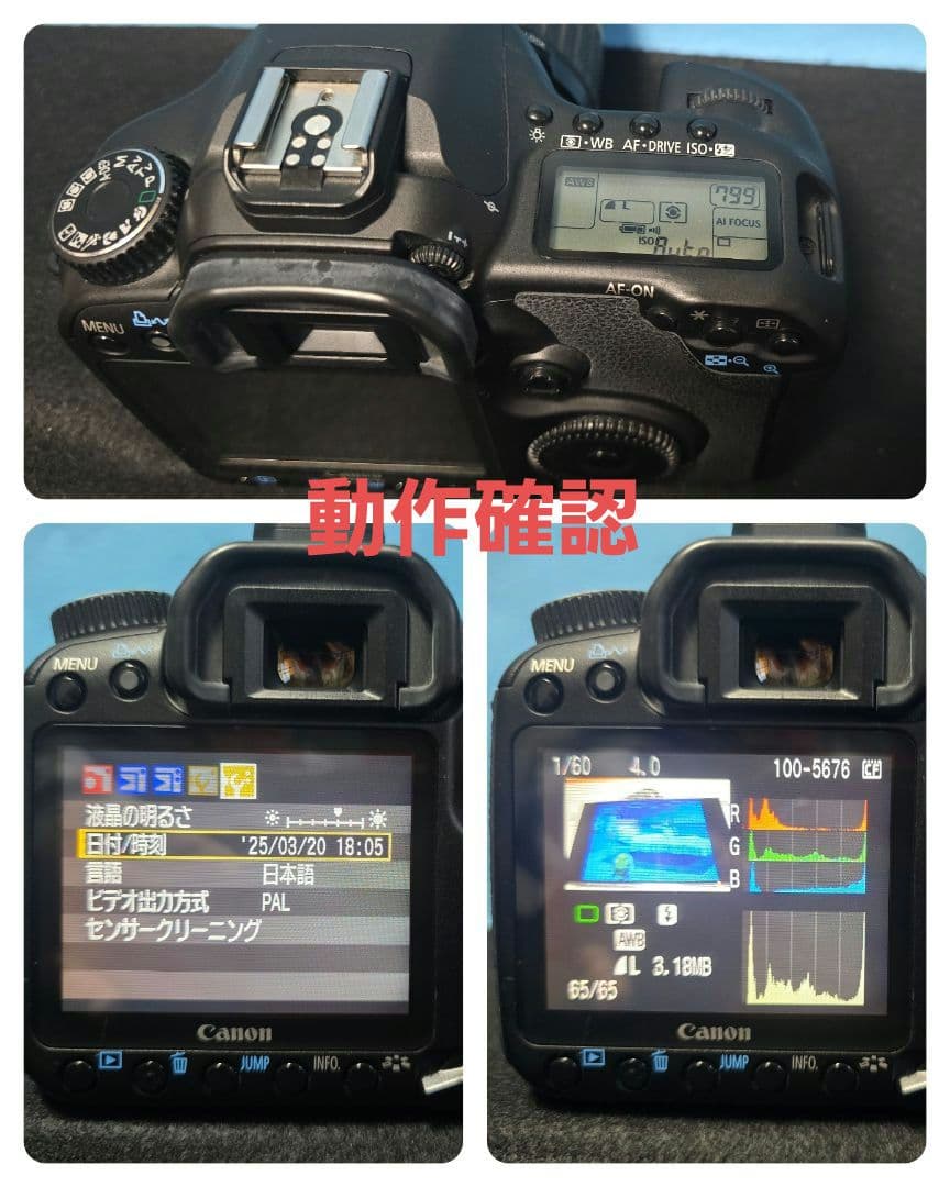 Canon EOS 40D デジタル一眼レフ　Tamron 17-50mmレンズ