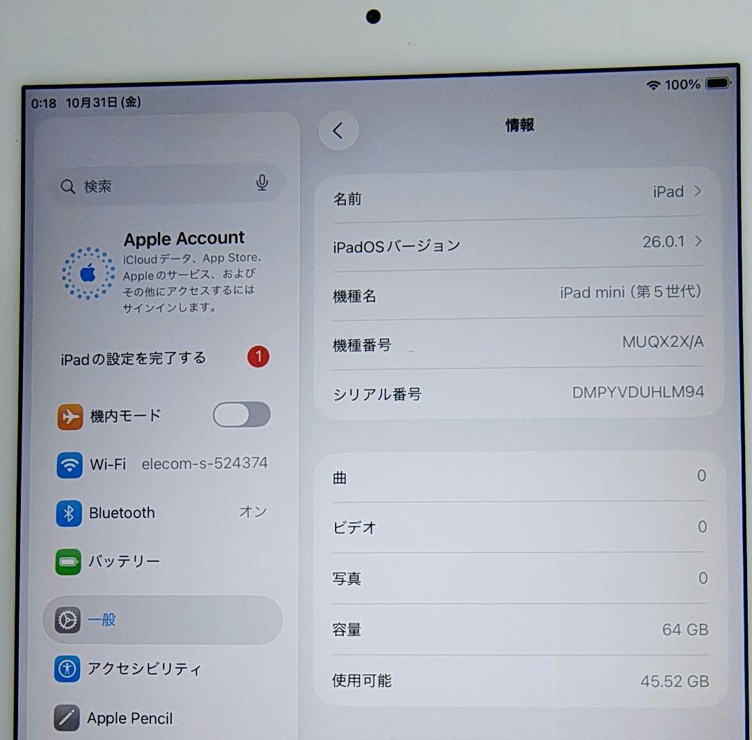最終価格！バッテリー86%【iPad mini 5世代 64GB WiFi】
