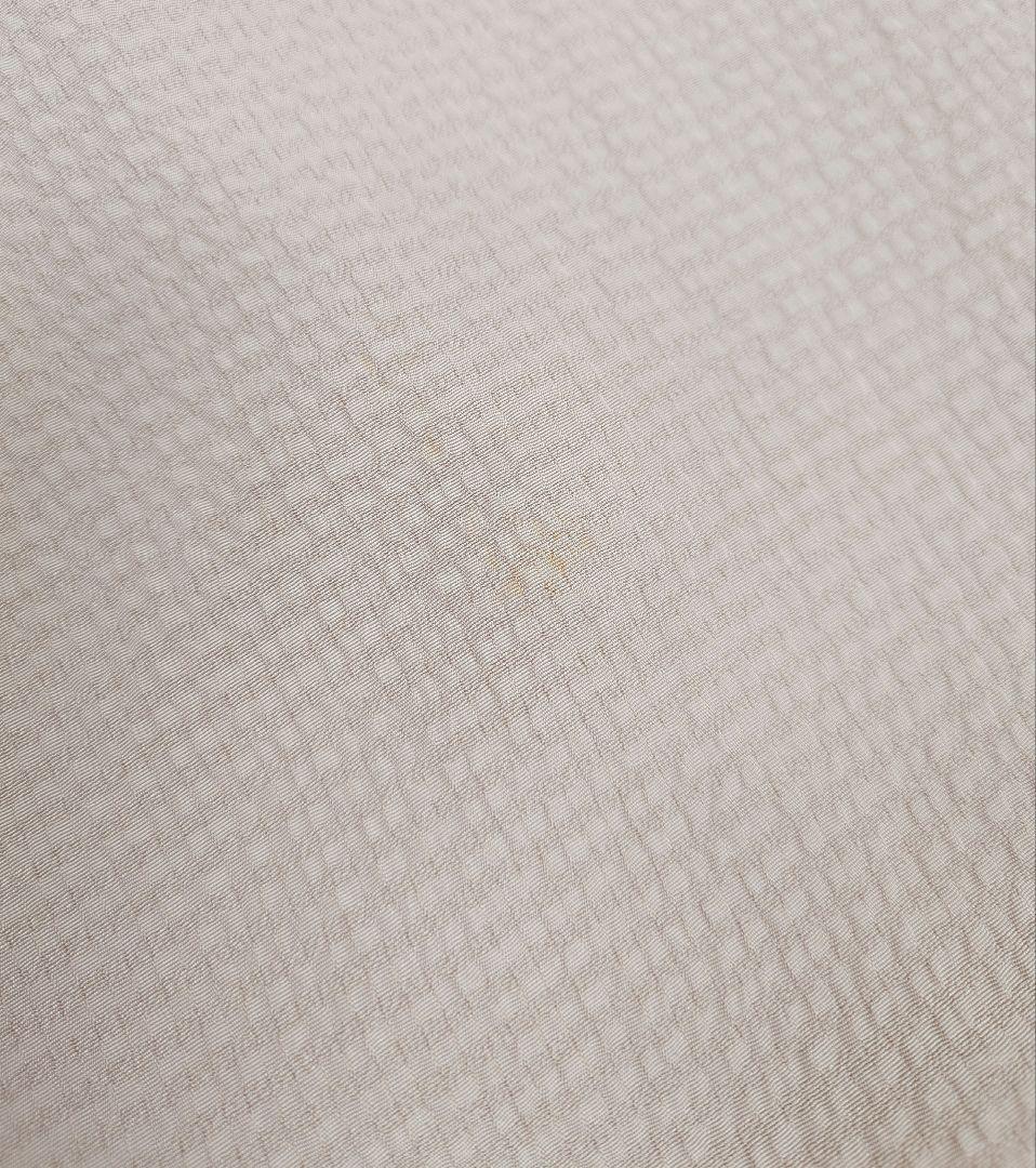 FN12106z 早い者勝ち！着物 正絹 付け下げ 151〜161cm