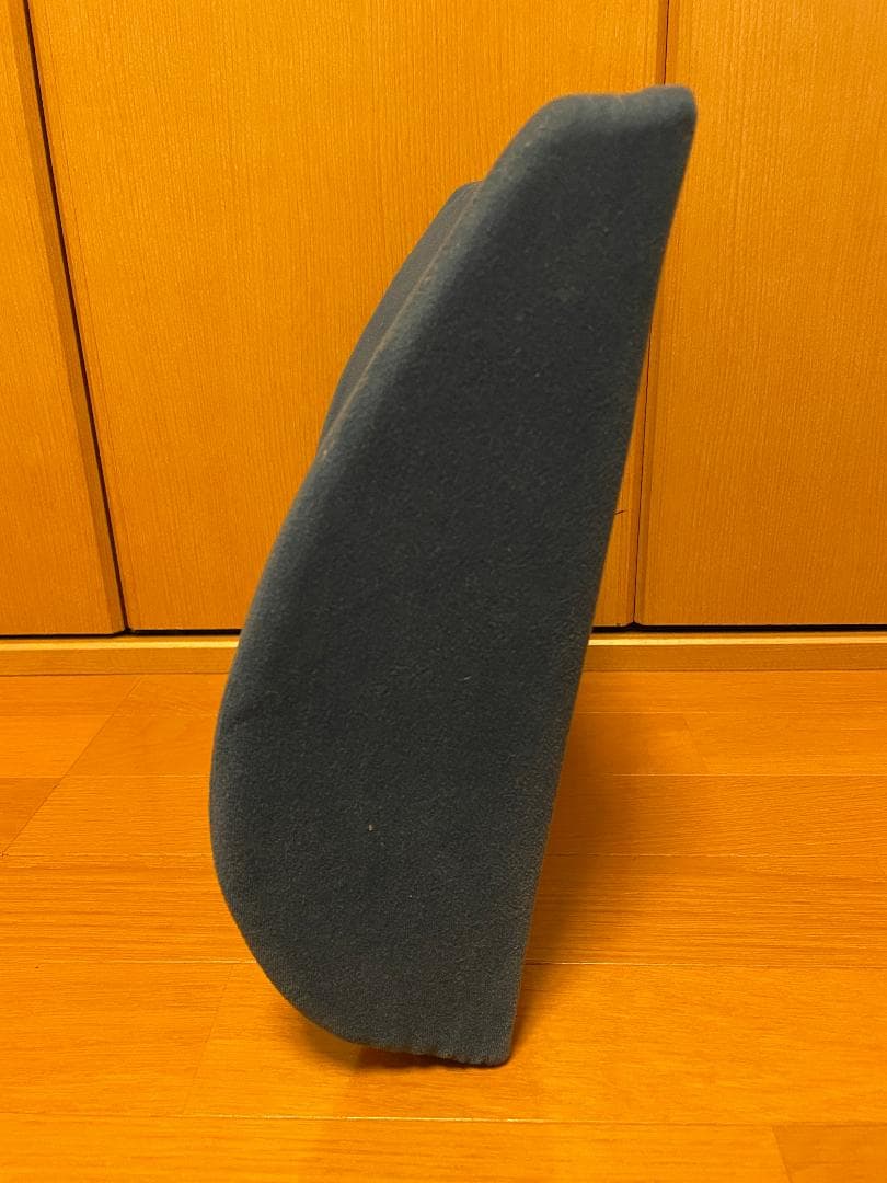 back huggar バックハガー　姿勢矯正　クッション　２点セット