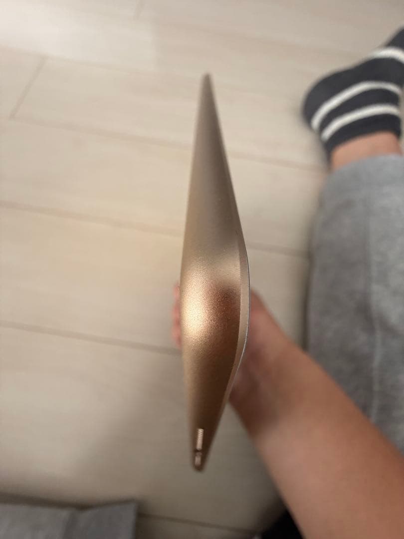 iPad 第5世代 32GB Wi-Fi+Cellular 本体