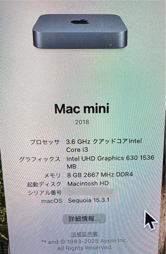MacMini 2018年モデル Apple: 目立ったキズ、汚れなし