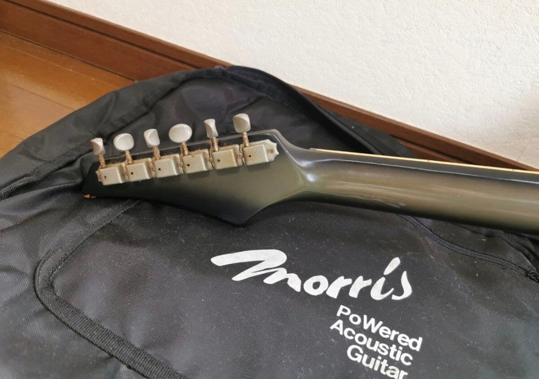 【ソフトケース付き】エレアコ morris Tornado ECLIPSE