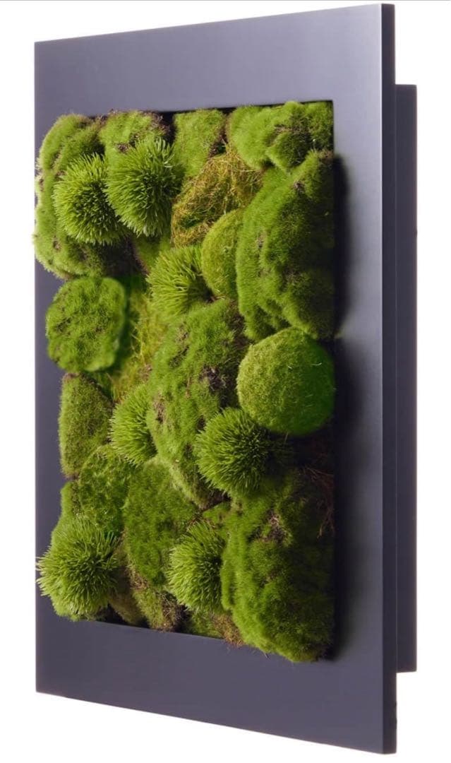 CUPBON 盆栽 苔盆 フェイクグリーン インテリア