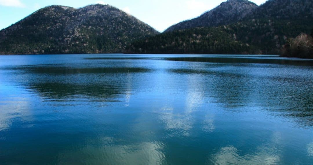 まる⋆͛☽.゜様　CANON　EOS 20D 一眼レフ⚡️キャノン⚡️初心者⚡️