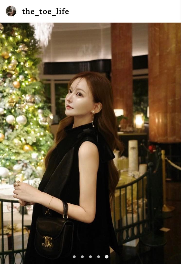 【THE TOÉ】 Heidelberg Dress（black）【完売品】