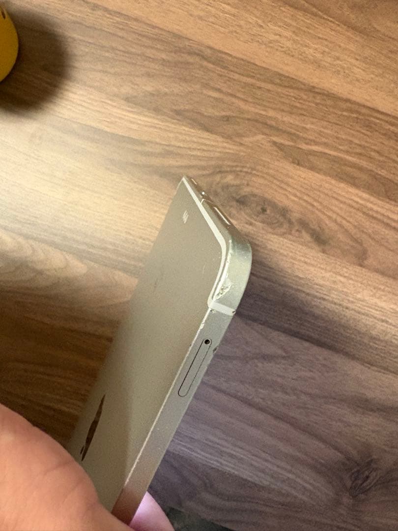 iPad Pro (11インチ) cellular 64Ｇ　藤本様