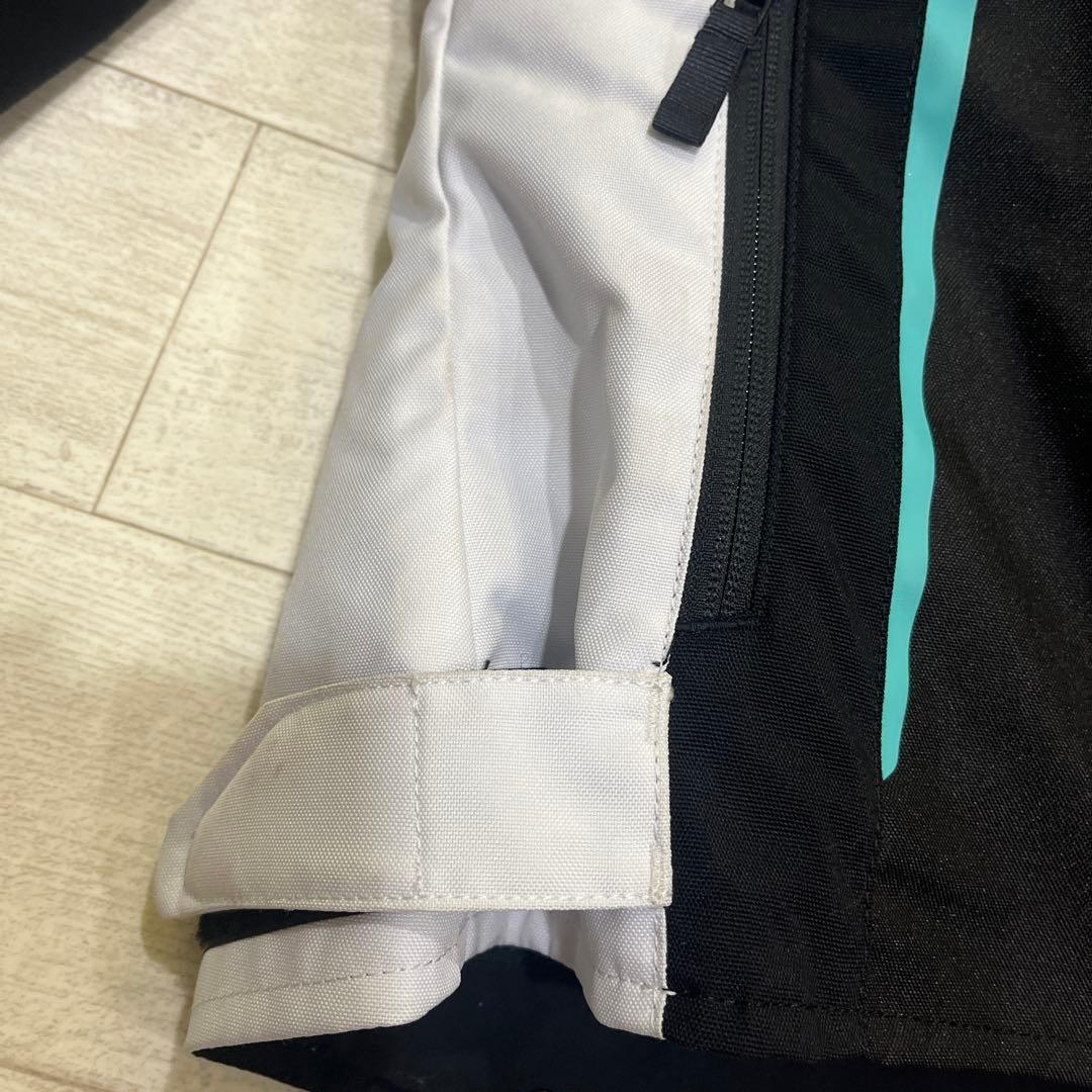 アルパインスターズ　ステラ　レディースS