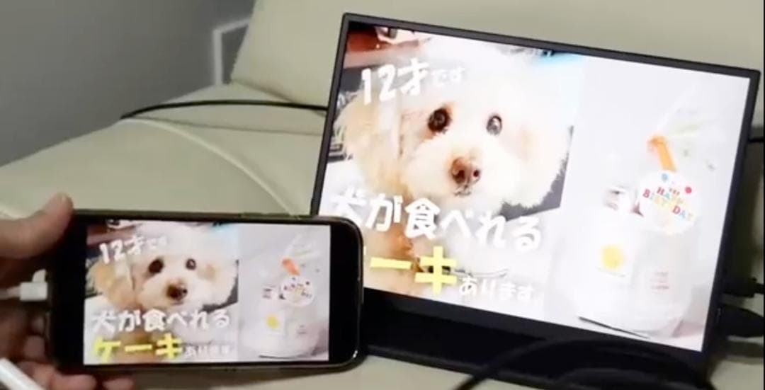 美品⭐️モバイルモニター 10.5インチ ディスプレイ