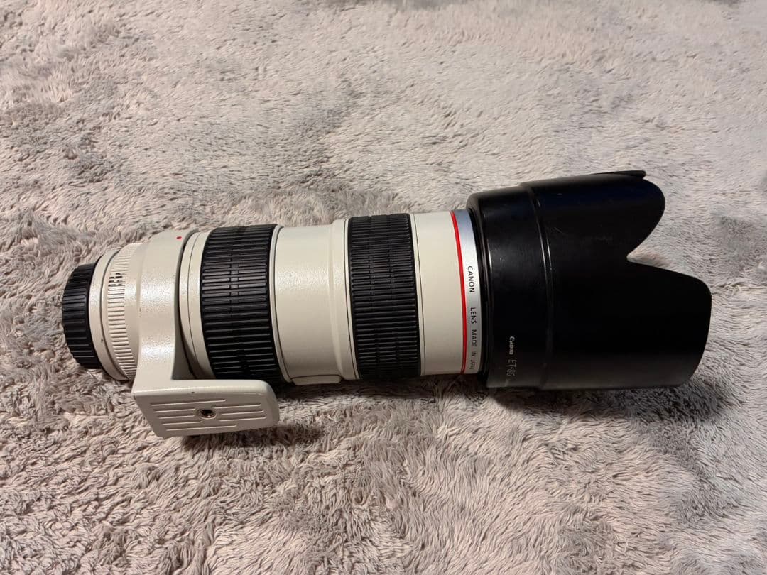 EF70-200mmF2.8L IS USM＋Extender EF 2x II