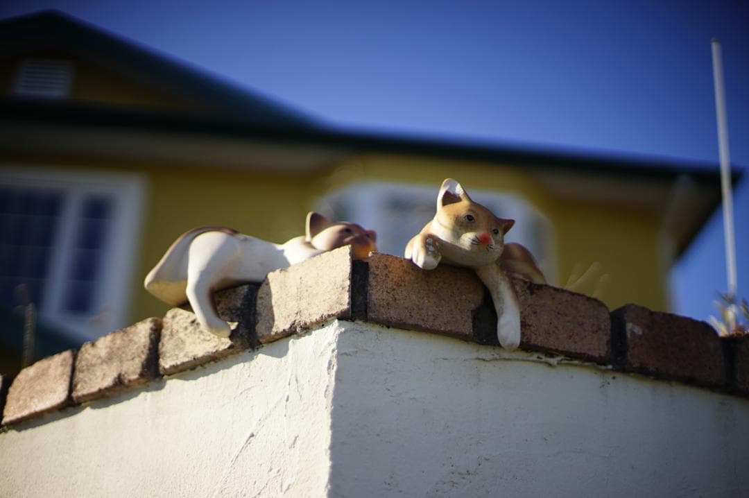 Nikon F3 HP 191万番台 / Ai NIKKOR 50mm F1.4