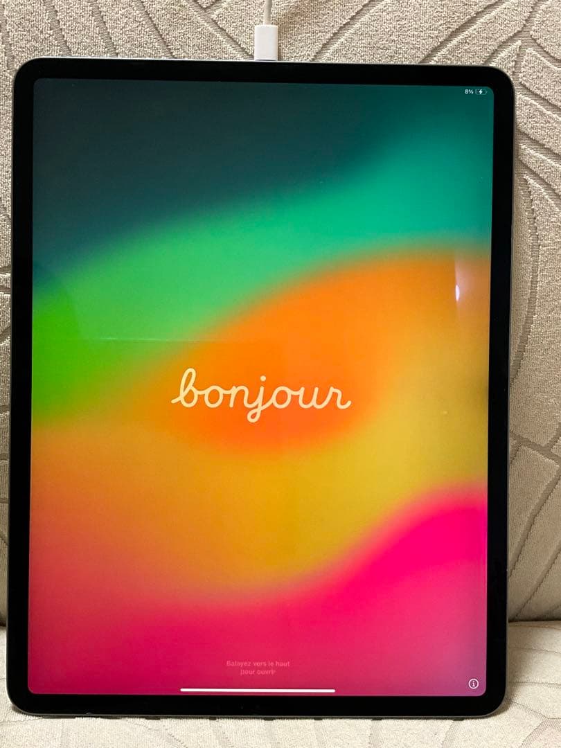 Apple iPad Pro12.9インチ256GB WiFiモデル