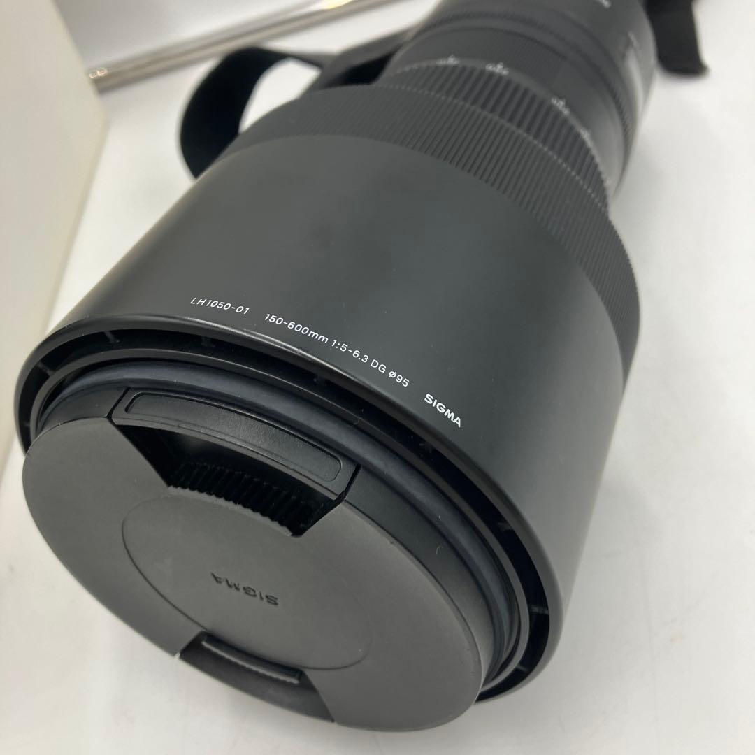 Sigma 150-600mm F5-6.3 望遠レンズ