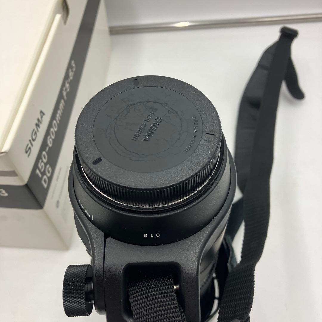 Sigma 150-600mm F5-6.3 望遠レンズ
