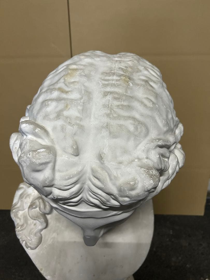 石膏像 アリアス 女神像 胸像 アリアス胸像 美大