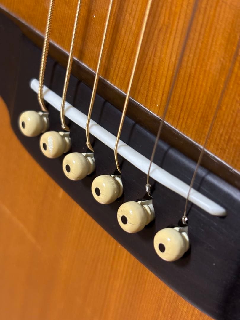 程度上！CAT'S EYES キャッツアイ　アコギ　CE500 調整済！HC付き