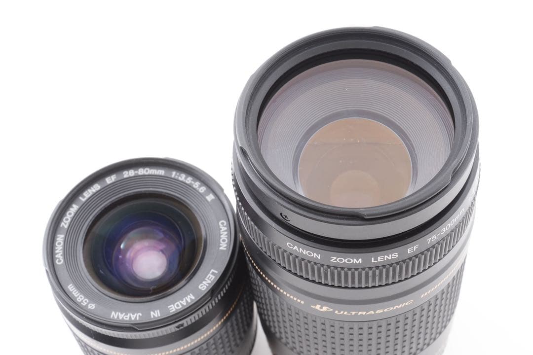 動作品/3250万画素/Canon EOS 90D標準&望遠ダブルレンズセット