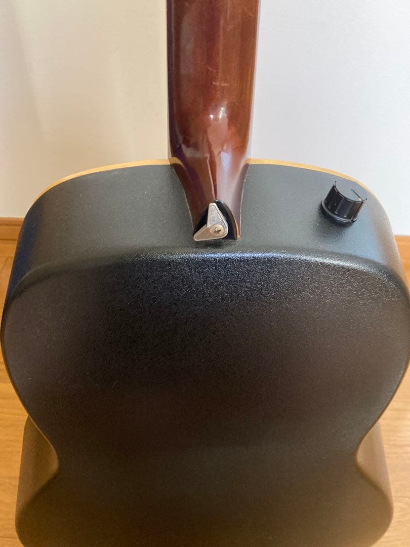 Maxwin エレアコ　ハードケース付