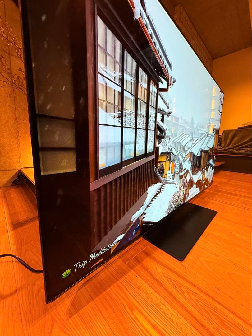 【かいじゅうぶーうごん様】Panasonic 2019年製 TH-55FZ950