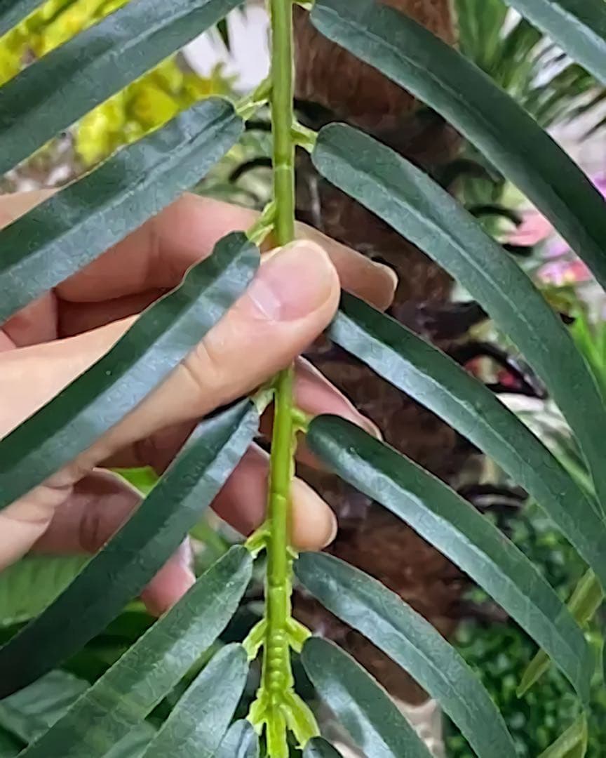 光触媒　人工観葉植物　ウォールグリーン　フェイクグリーン　フェニックス19