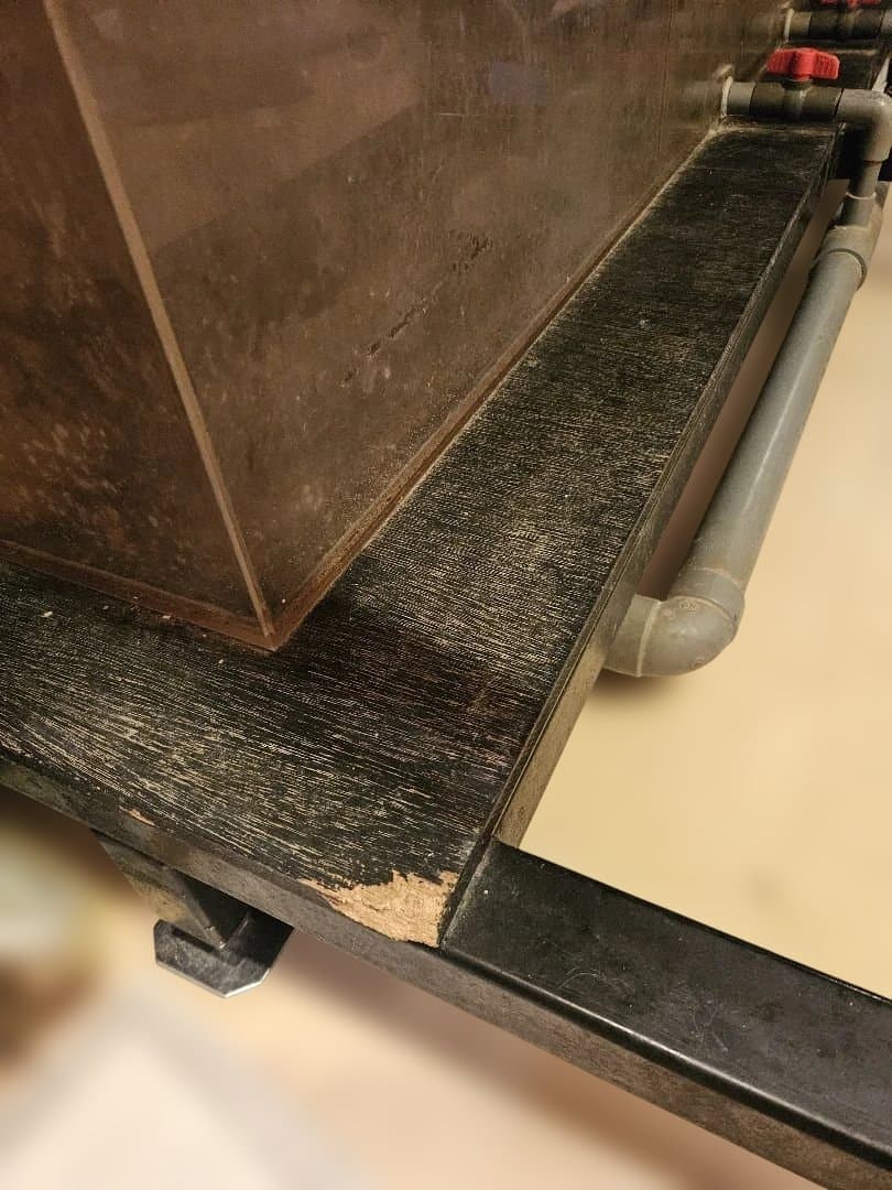 大型オーバーフロー水槽