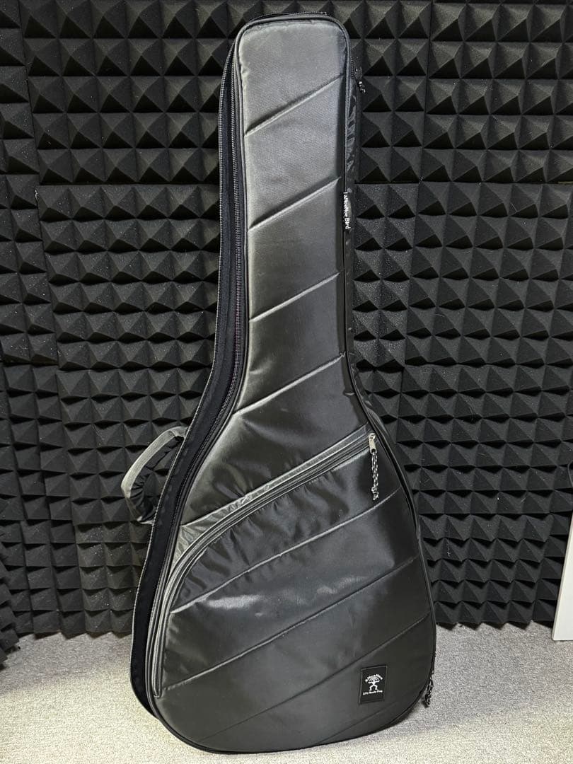 aNueNue L10E (エレアコモデル)