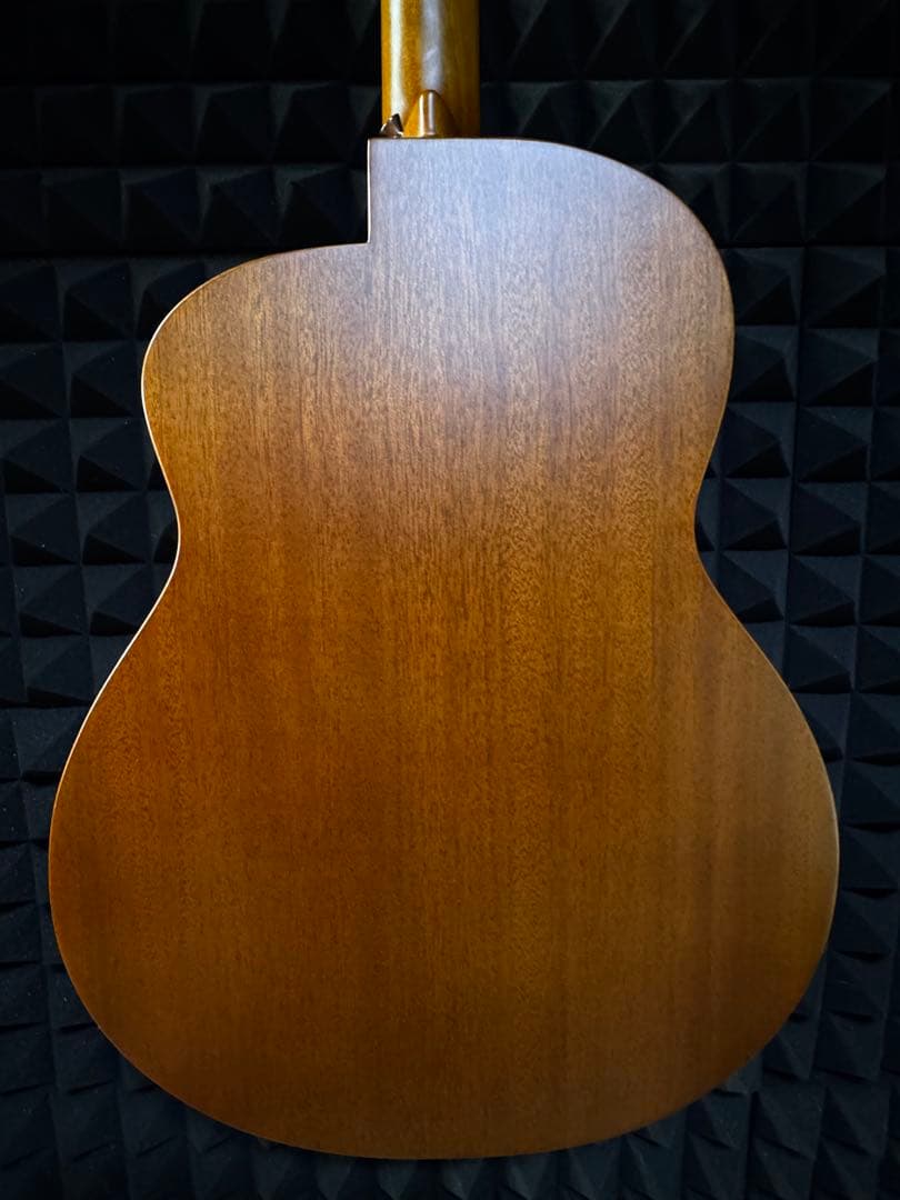 aNueNue L10E (エレアコモデル)