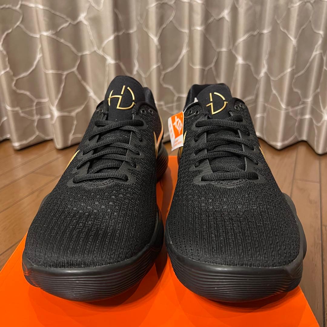 シューズ(男性用) NIKE HYPERDUNK 2017 LOW EP BLACK GOLD