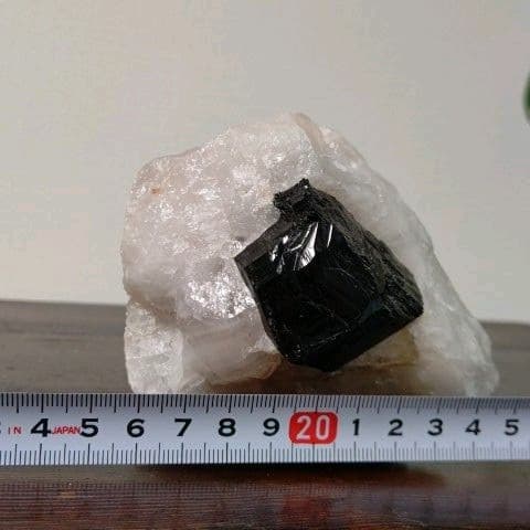 鉱物コレクション　鉄電気石（ショール）