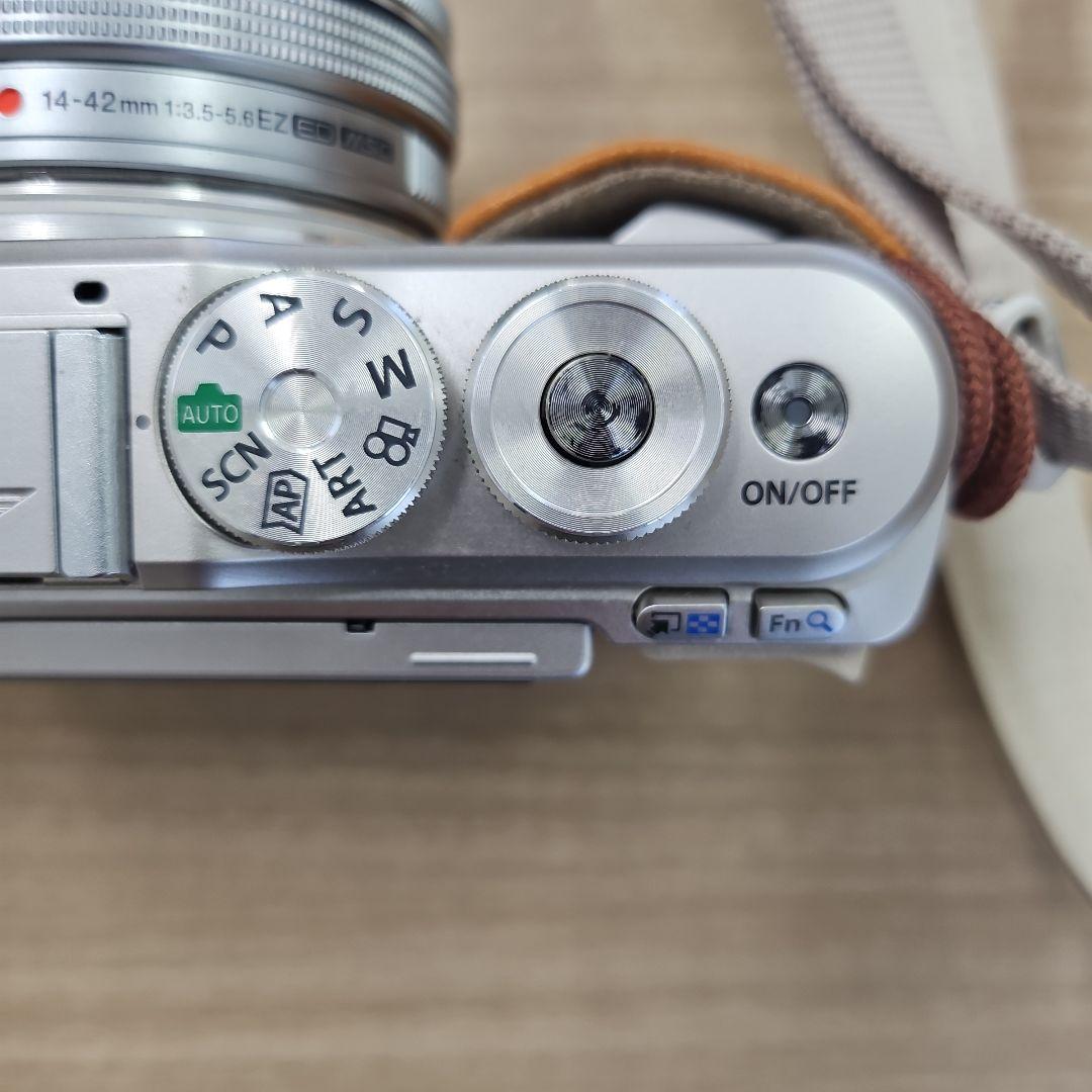 OLYMPUS　PEN　E-PL9　カバー付き