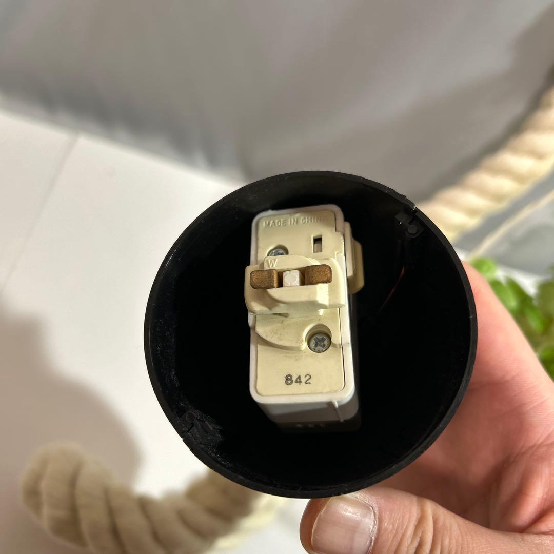 スワン電気 ボタニック ハンギングライト ペンダントライト ガラス ロープ