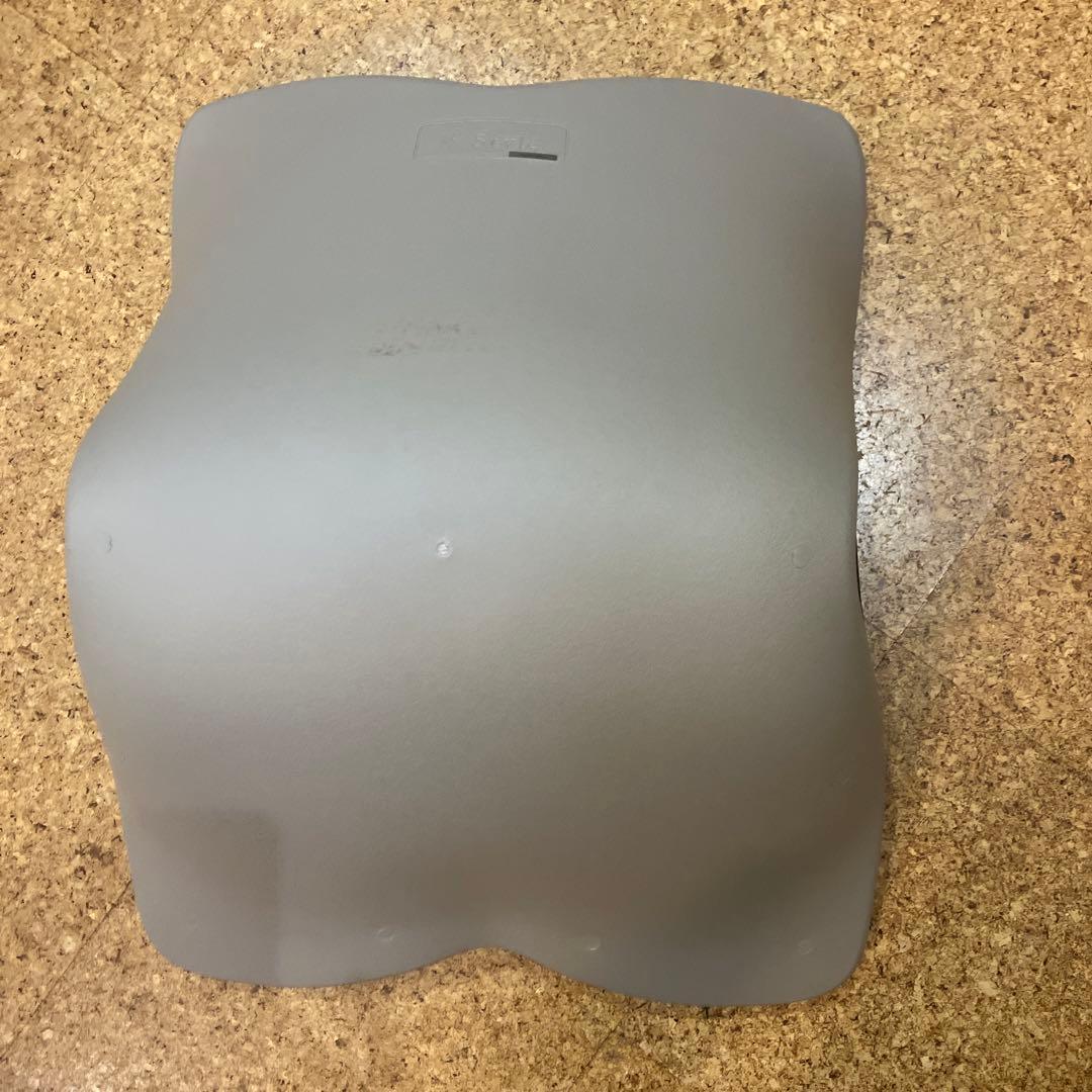 Style PREMIUM スタイルプレミアム　姿勢ケアシート